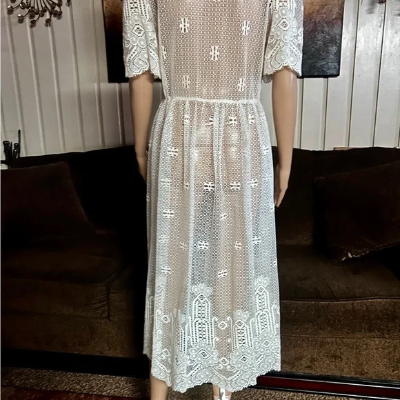 Vintage (1960’s) USA ~ Size 6 ~ Net Floral Lace Edwardian Embroidery Sexy Dress - Picture 13 of 16